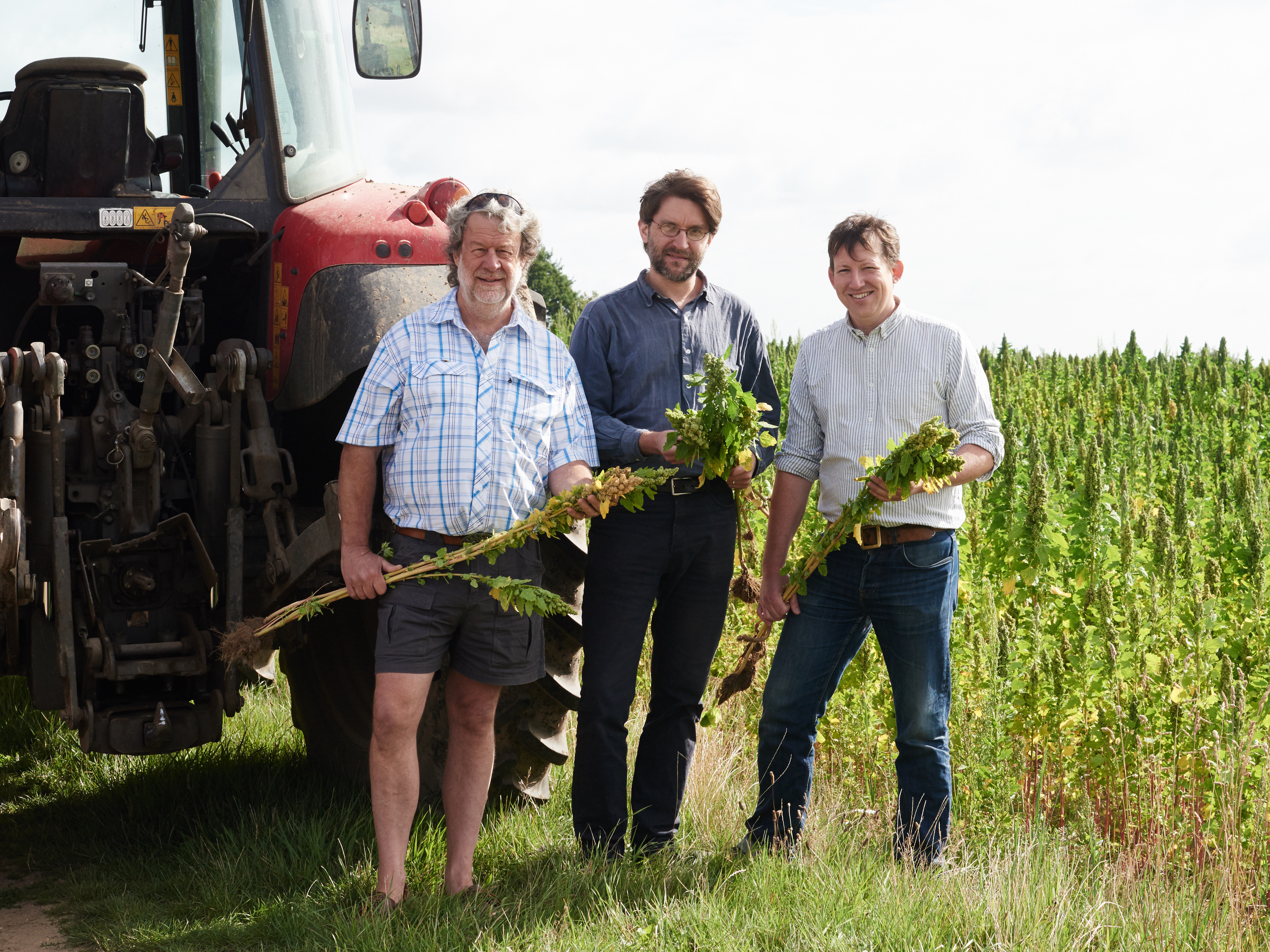 William, Nick and Josiah with the Nacton quinoa CREDIT David Charbit